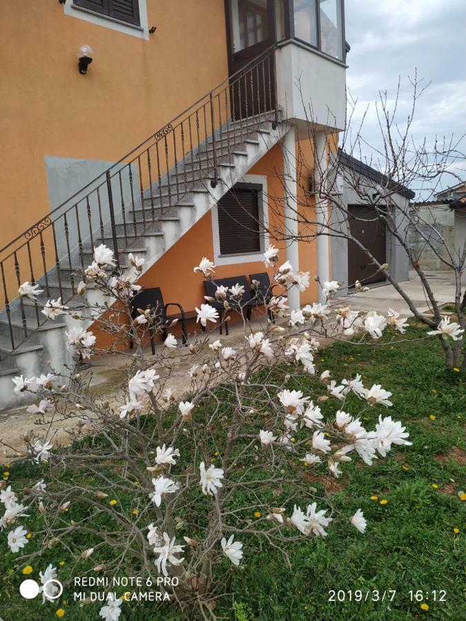 Apartment Dorina ブイェ エクステリア 写真